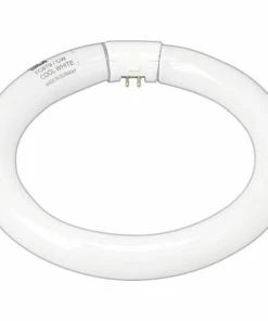 Light Bulbs 22 Watt GE 8" Diameter T-9 Circline Fluorescent Tube, Cool White