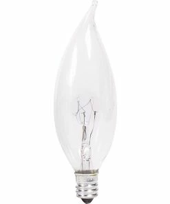 Incandescent Bulb Philips® 40W Incandescent Light Bulb, BA9, Candelabra Base, 24/Pack (167205)