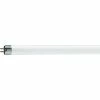 Fluorescent Bulb Philips Linear Fluorescent T5 Lamp, 13 Watts, Cool White, 25PK 1 Fluorescent Bulb Philips Linear Fluorescent T5 Lamp, 13 Watts, Cool White, 25PK -ADESSO-shop s0971569 s7