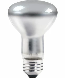 Incandescent Bulb Philips® 45W Incandescent R20 Light Bulb, Medium Screw Base, 12/Pack (203224)