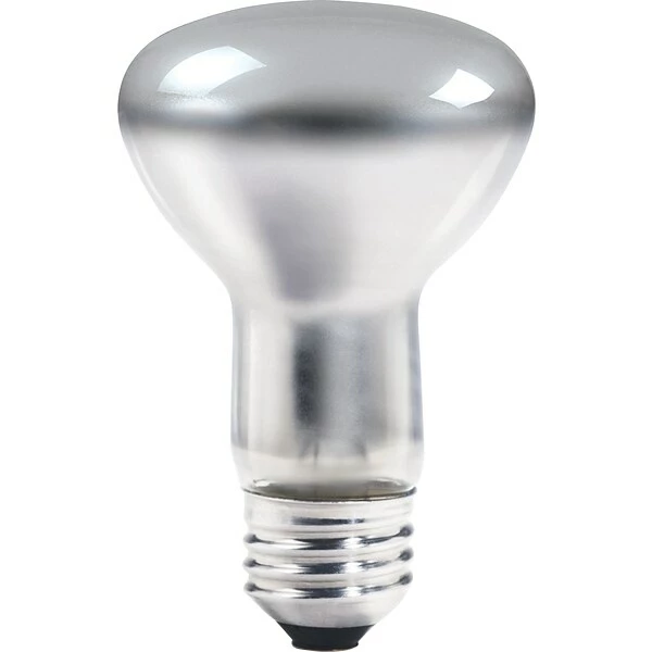 Incandescent Bulb Philips® 45W Incandescent R20 Light Bulb, Medium Screw Base, 12/Pack (203224) 3 Incandescent Bulb Philips® 45W Incandescent R20 Light Bulb, Medium Screw Base, 12/Pack (203224)