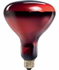 Incandescent Bulb Philips Incandescent Heat Lamp, R40, 250 Watts, 4PK