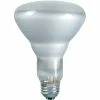 Incandescent Bulb Philips Incandescent PRO BR30 Light Bulb, 65 Watts, 130V, 12/Pack (140079) 2 Incandescent Bulb Philips Incandescent PRO BR30 Light Bulb, 65 Watts, 130V, 12/Pack (140079) -ADESSO-shop s1035331 s7