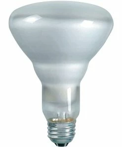 Incandescent Bulb Philips Incandescent PRO BR30 Light Bulb, 65 Watts, 130V, 12/Pack (140079)