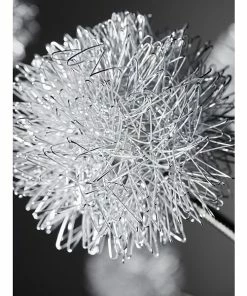 Adesso Home Floor Lamps Adesso® Pom Pom 68"H Brushed Steel LED Floor Lamp With 6 Adjustable Lights (4511-22)