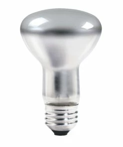 Light Bulbs Philips Incandescent R20 45 Watt Bulb, Pack Of 12 (475953)