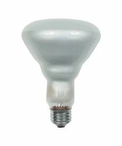Flood Bulbs GE 65 Watts Soft White Incandescent Bulb (20331)